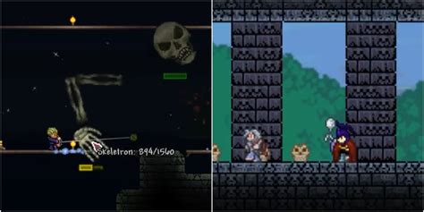 how to summon skeletron terraria.